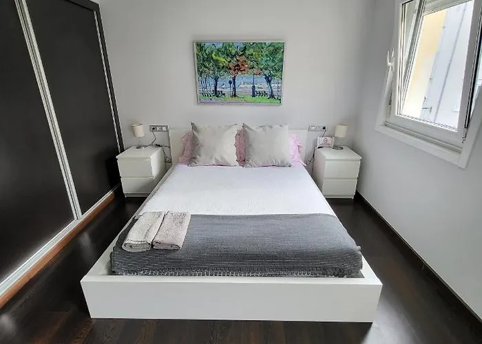 A 50 Metros Del Paseo Maritimo Daire